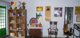 Museu Dr Costa Júnior