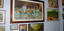 Museu Dr Costa Júnior