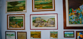 Museu Dr Costa Júnior