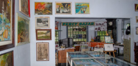 Museu Dr Costa Júnior